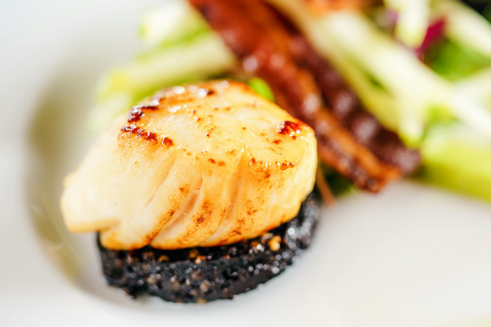 Close-up of a seared scallop on black pudding, garnished elegantly, showcasing fine dining cuisine.